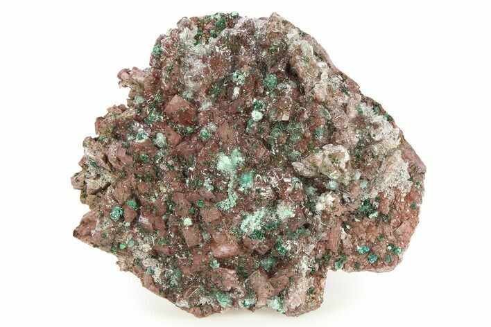 Malachite and Selenite on Ferroan Dolomite - Morocco #290829